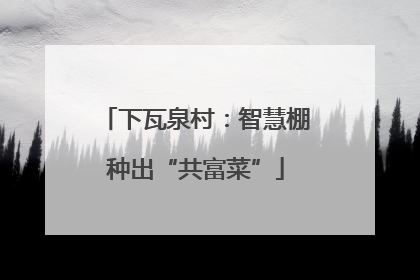 下瓦泉村：智慧棚种出“共富菜”