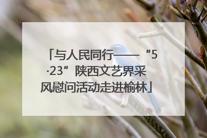 与人民同行——“5·23”陕西文艺界采风慰问活动走进榆林