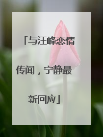 与汪峰恋情传闻，宁静最新回应