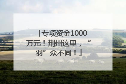 专项资金1000万元！荆州这里，“羽”众不同！