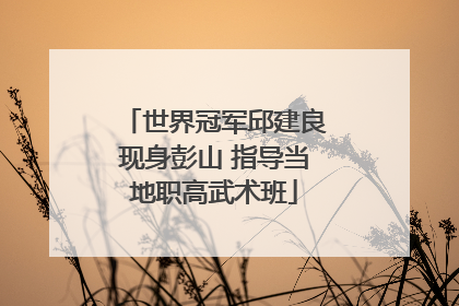 世界冠军邱建良现身彭山 指导当地职高武术班