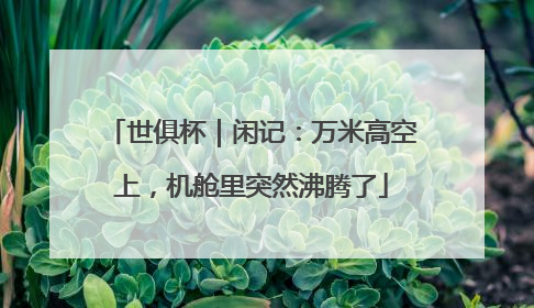 世俱杯｜闲记：万米高空上，机舱里突然沸腾了