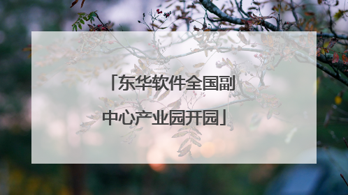东华软件全国副中心产业园开园