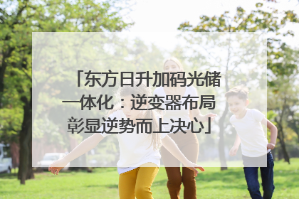 东方日升加码光储一体化：逆变器布局彰显逆势而上决心
