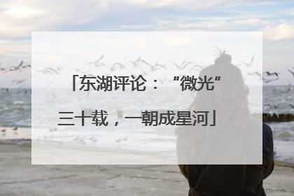 东湖评论：“微光”三十载，一朝成星河
