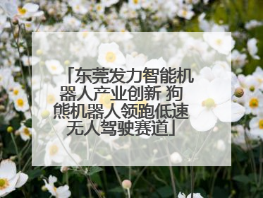东莞发力智能机器人产业创新 狗熊机器人领跑低速无人驾驶赛道