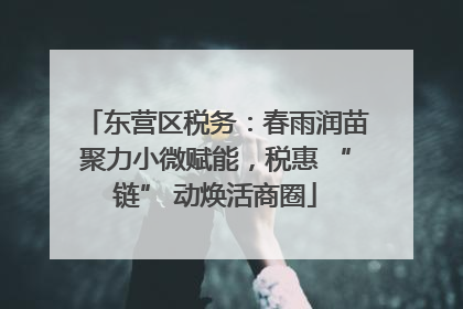 东营区税务：春雨润苗聚力小微赋能，税惠 “链” 动焕活商圈