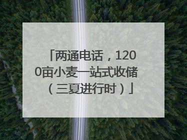 两通电话，1200亩小麦一站式收储（三夏进行时）
