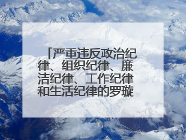 严重违反政治纪律、组织纪律、廉洁纪律、工作纪律和生活纪律的罗璇，非法收受他人巨额财物