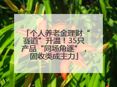 个人养老金理财“赛道”升温！35只产品“同场角逐”，固收类成主力