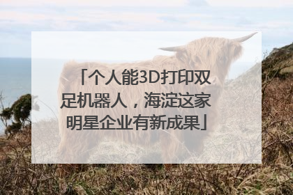 个人能3D打印双足机器人，海淀这家明星企业有新成果