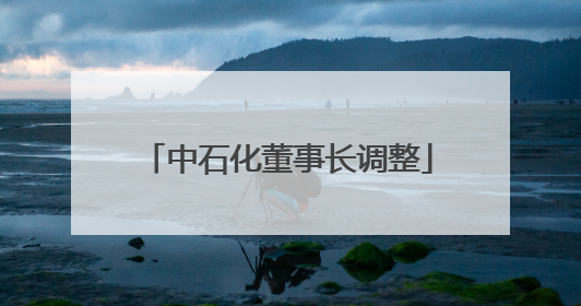 中石化董事长调整
