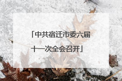 中共宿迁市委六届十一次全会召开