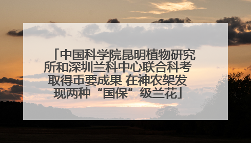 中国科学院昆明植物研究所和深圳兰科中心联合科考取得重要成果 在神农架发现两种“国保”级兰花