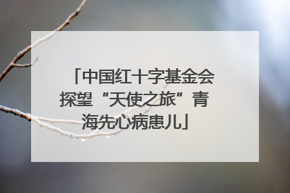 中国红十字基金会探望“天使之旅”青海先心病患儿