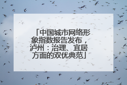 中国城市网络形象指数报告发布，泸州：治理、宜居方面的双优典范
