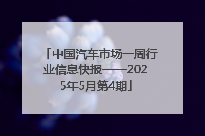 中国汽车市场一周行业信息快报——2025年5月第4期