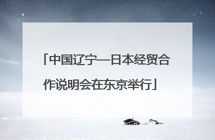 中国辽宁—日本经贸合作说明会在东京举行
