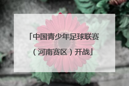 中国青少年足球联赛（河南赛区）开战