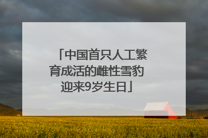 中国首只人工繁育成活的雌性雪豹迎来9岁生日
