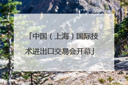 中国（上海）国际技术进出口交易会开幕