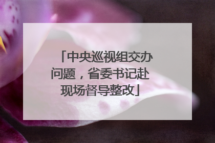 中央巡视组交办问题，省委书记赴现场督导整改