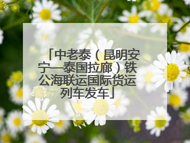 中老泰（昆明安宁—泰国拉廊）铁公海联运国际货运列车发车