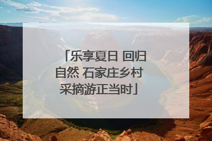 乐享夏日 回归自然 石家庄乡村采摘游正当时