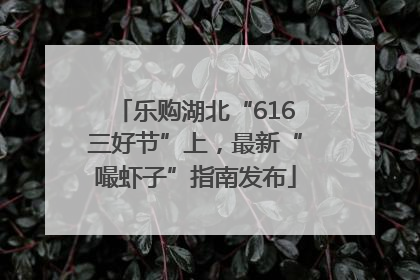 乐购湖北“616三好节”上，最新“嘬虾子”指南发布
