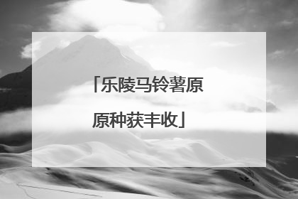 乐陵马铃薯原原种获丰收