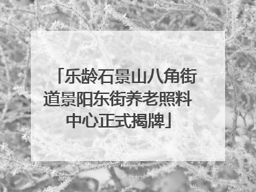 乐龄石景山八角街道景阳东街养老照料中心正式揭牌