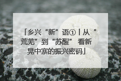 乡兴“新”语①丨从“荒芜”到“苏醒” 看新晃中寨的振兴密码