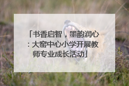 书香启智，墨韵润心：大窑中心小学开展教师专业成长活动