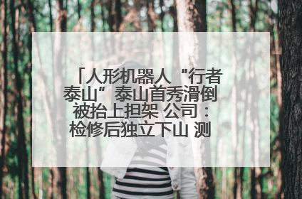 人形机器人“行者泰山”泰山首秀滑倒被抬上担架 公司：检修后独立下山 测试就是为暴露问题
