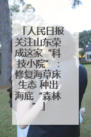 人民日报关注山东荣成这家“科技小院”：修复海草床生态 种出海底“森林”