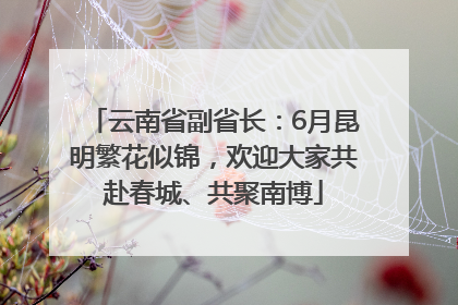 云南省副省长：6月昆明繁花似锦，欢迎大家共赴春城、共聚南博