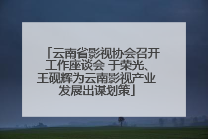 云南省影视协会召开工作座谈会 于荣光、王砚辉为云南影视产业发展出谋划策