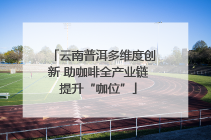 云南普洱多维度创新 助咖啡全产业链提升“咖位”