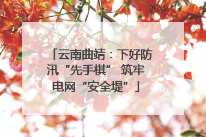 云南曲靖：下好防汛“先手棋” 筑牢电网“安全堤”