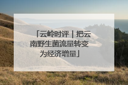 云岭时评｜把云南野生菌流量转变为经济增量