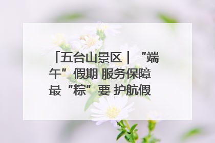 五台山景区｜“端午”假期 服务保障最“粽”要 护航假期“不打烊”