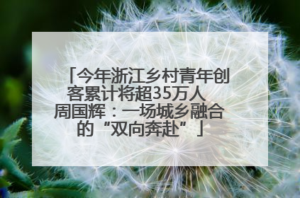 今年浙江乡村青年创客累计将超35万人 周国辉：一场城乡融合的“双向奔赴”
