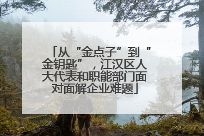 从“金点子”到“金钥匙”，江汉区人大代表和职能部门面对面解企业难题