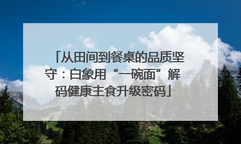 从田间到餐桌的品质坚守：白象用“一碗面”解码健康主食升级密码