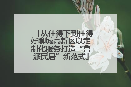 从住得下到住得好聊城高新区以定制化服务打造“鲁派民居”新范式