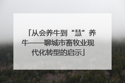从会养牛到“慧”养牛——聊城市畜牧业现代化转型的启示