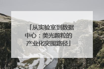 从实验室到数据中心：美光颗粒的产业化突围路径