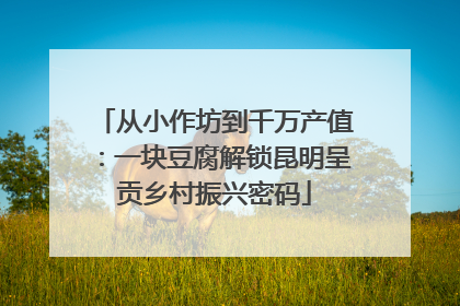 从小作坊到千万产值：一块豆腐解锁昆明呈贡乡村振兴密码