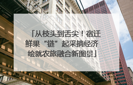 从枝头到舌尖！宿迁鲜果“链”起采摘经济绘就农旅融合新图景