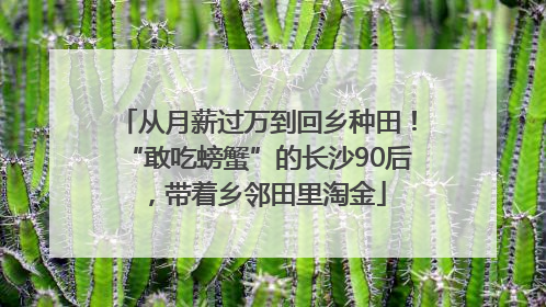 从月薪过万到回乡种田！“敢吃螃蟹”的长沙90后，带着乡邻田里淘金